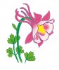 amelie-patin_comme-une-fleur-13_01.jpg