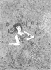 Comme une fleur - couverture