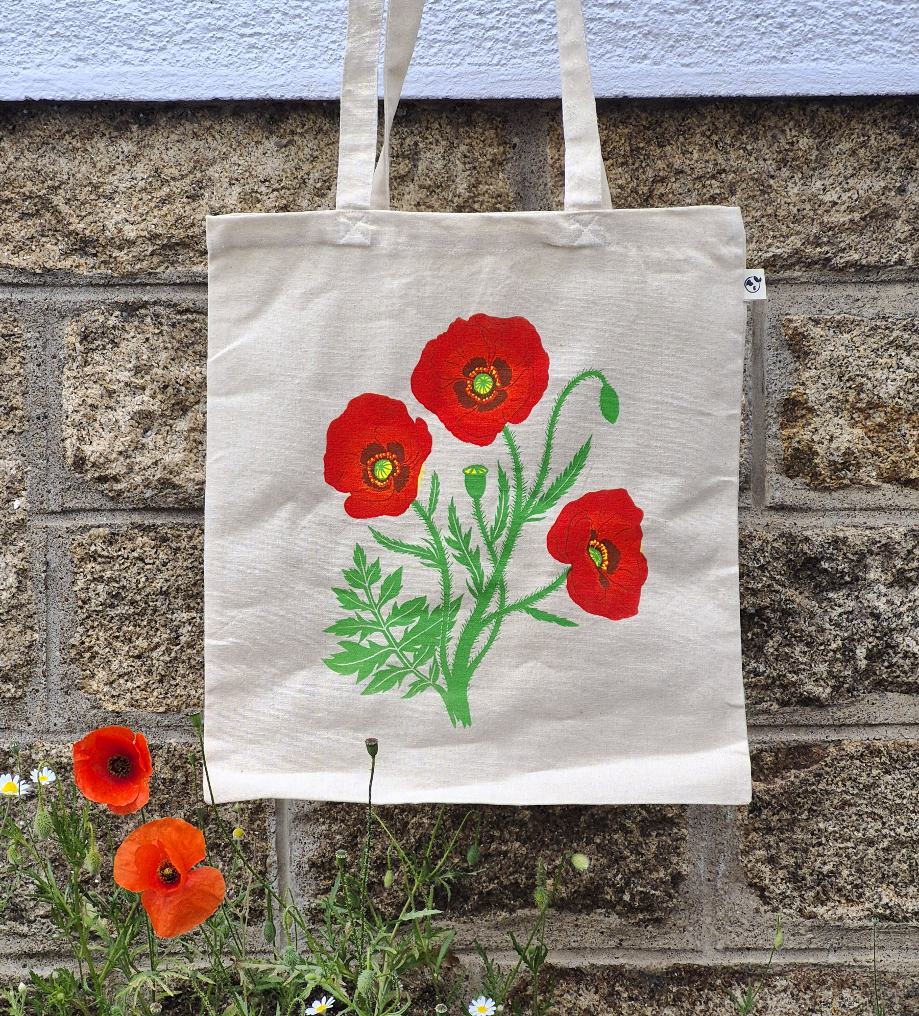 Coquelicots