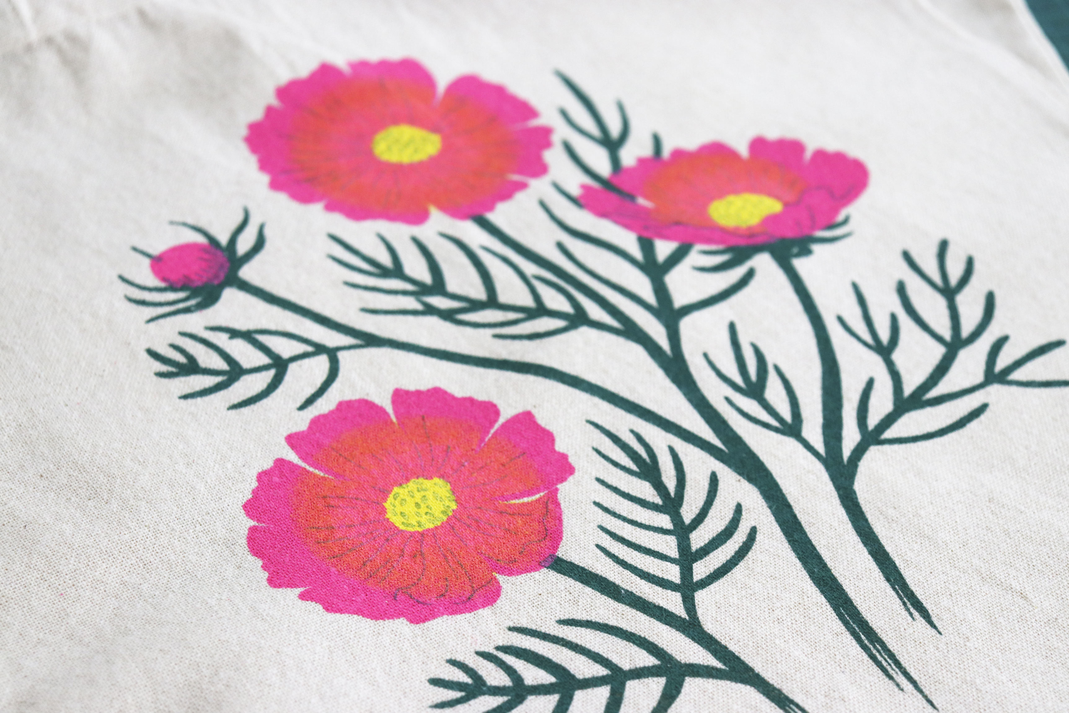 Cosmos