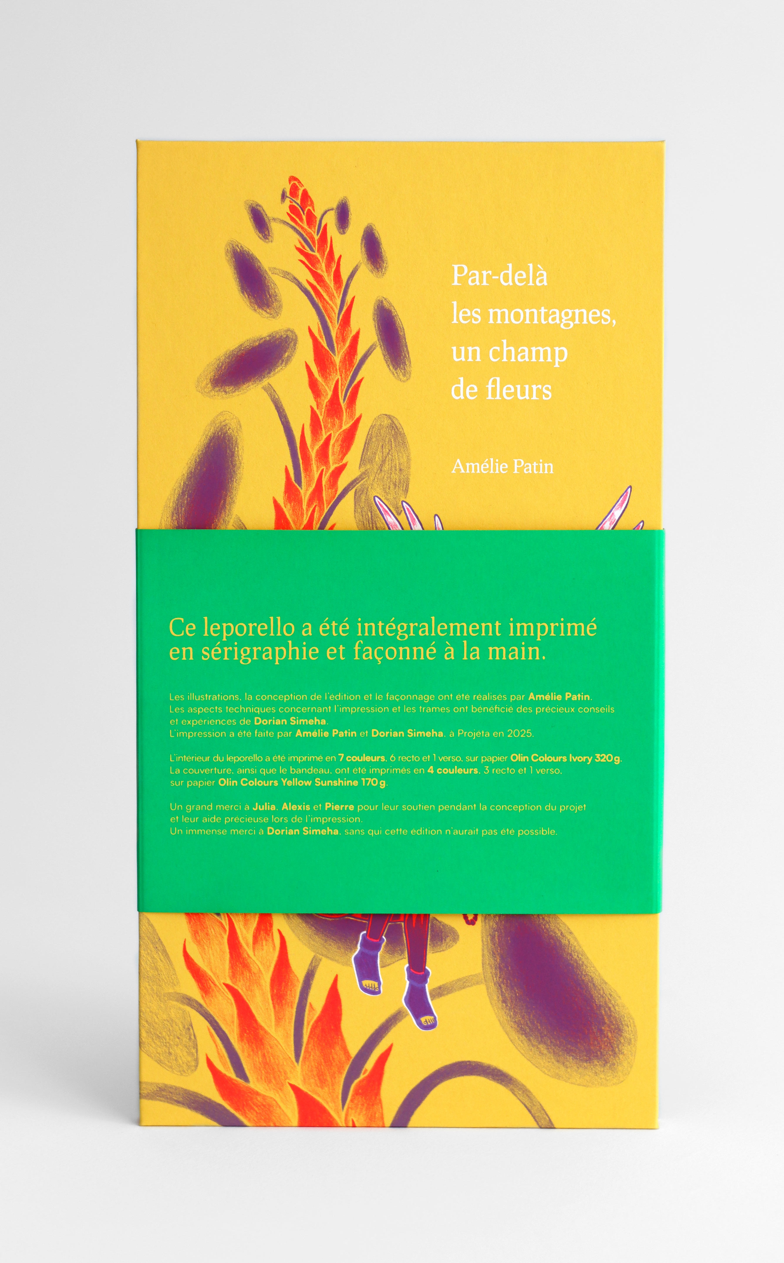 Focus sur la jaquette verte du leporello, avec les détails d’impression en sérigraphie et la fabrication artisanale.