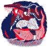 Illustration en deux couleurs (rouge et bleu foncé) représentant une figure féminine portant un costume hybride rappelant un animal. À ses pieds se trouve un lézard stylisé, entourée de motifs texturés.